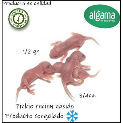 Pinky  recién nacido (Producto congelado)